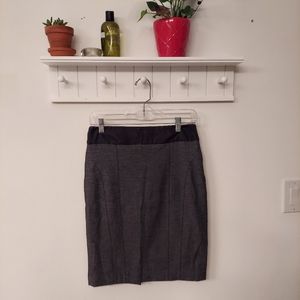 Express Pencil Skirt
